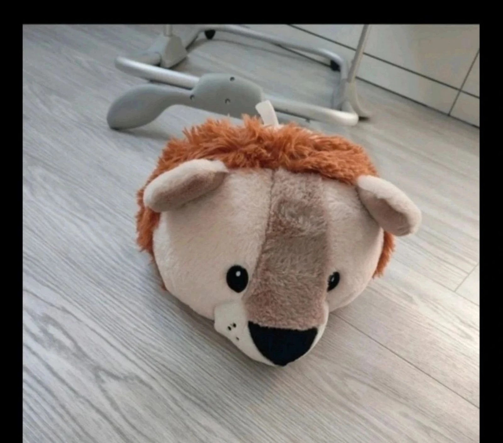 Tête de lion 